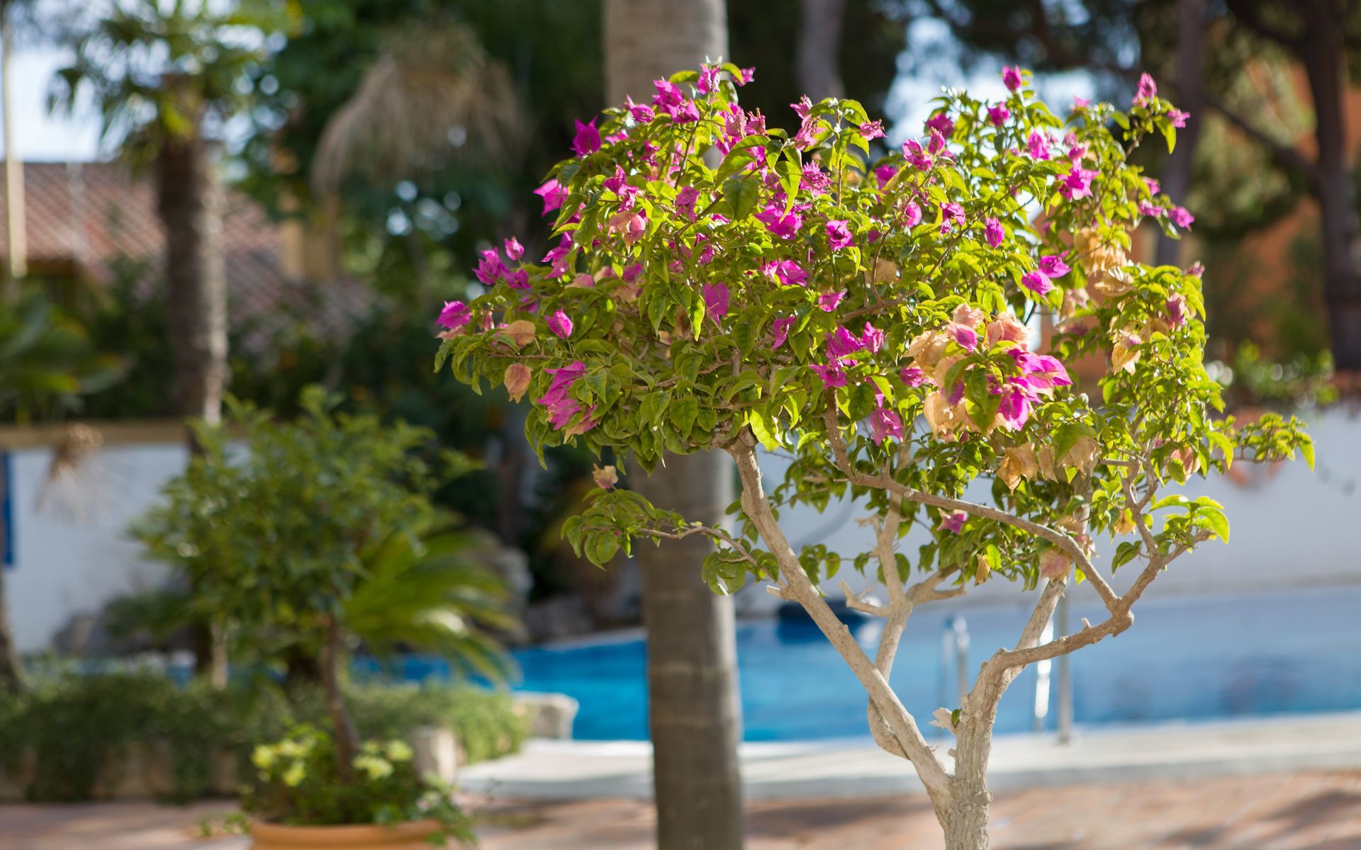 Hotel Soho Boutique Vistahermosa El Puerto de Santa María Exteriör bild